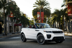 convertible, Evoque, Ewok, Land Rover, palmeras, Range Rover, calle, la ciudad