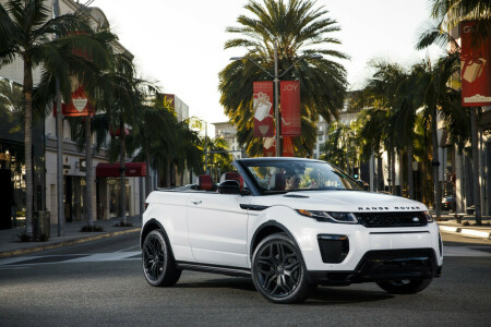 convertibile, evoque, Ewok, Land Rover, palme, Range Rover, strada, la città