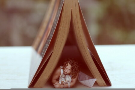 book, cat, house, people