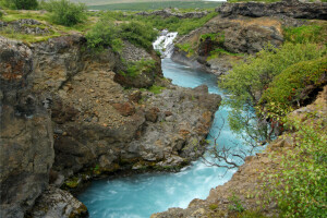 for, grass, river, rocks, shrub, stones