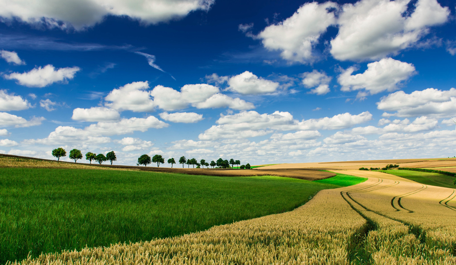 Le ciel, des arbres, champ, des nuages, horizon, ferme