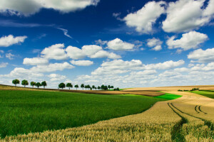 des nuages, ferme, champ, horizon, Le ciel, des arbres