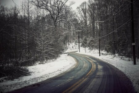 road, snow, trees, winter