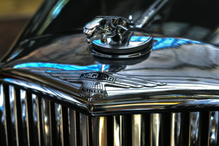 chrome, emblem, Jaguar, Label