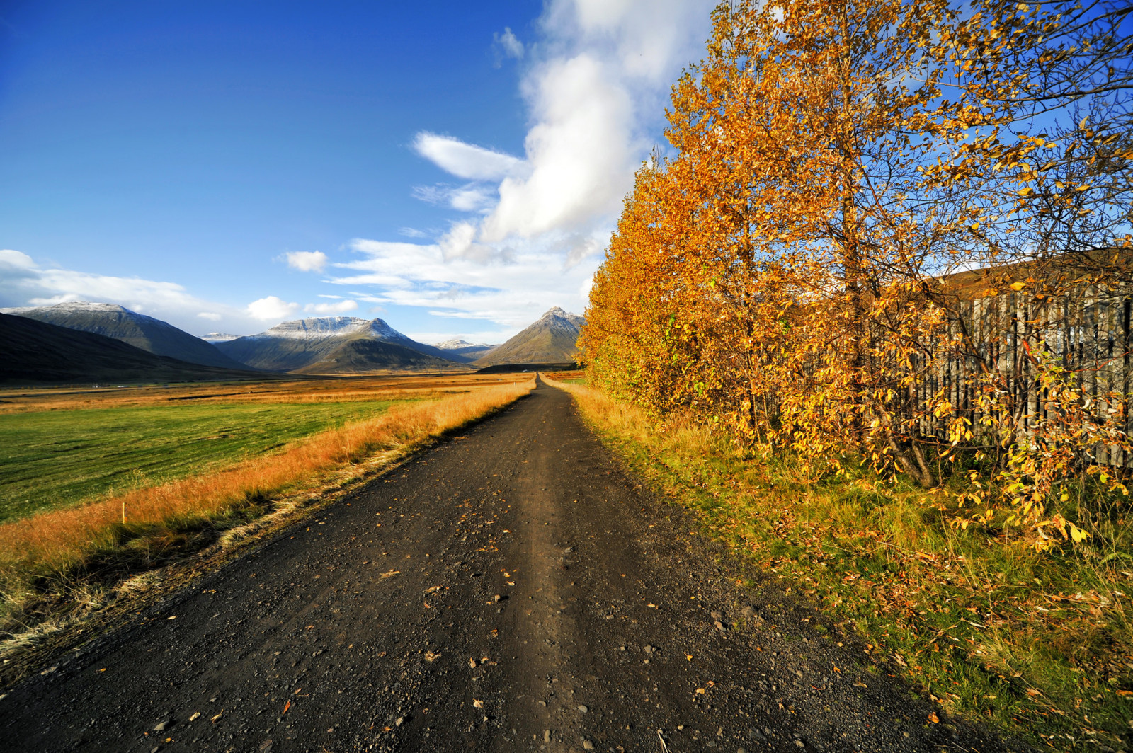 autunno, il cielo, strada, alberi, campo, montagne