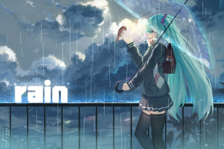 anime, kunst, vogel, wolken, het formulier, meisje, Haraguroi jij, hatsune miku