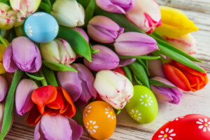 ramo de flores, Pascua de Resurrección, huevos, flores, tulipanes