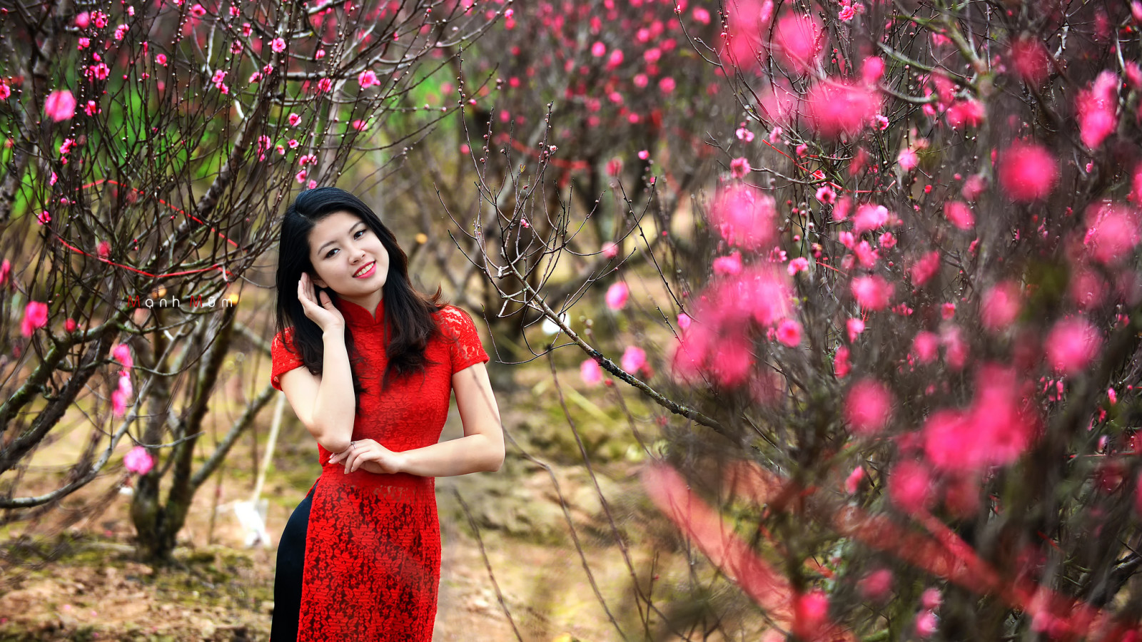 natura, ragazza, Giardino