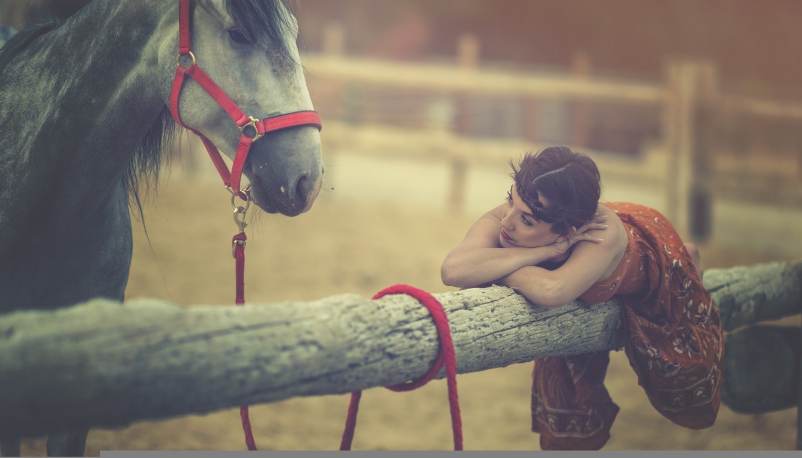 estado animico, caballo, modelo, Iniciar sesión, Arancha Ari Arevalo