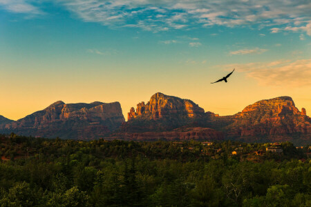 Arizona, aves, nubes, vuelo, montañas, Roca roja, puesta de sol, el cielo