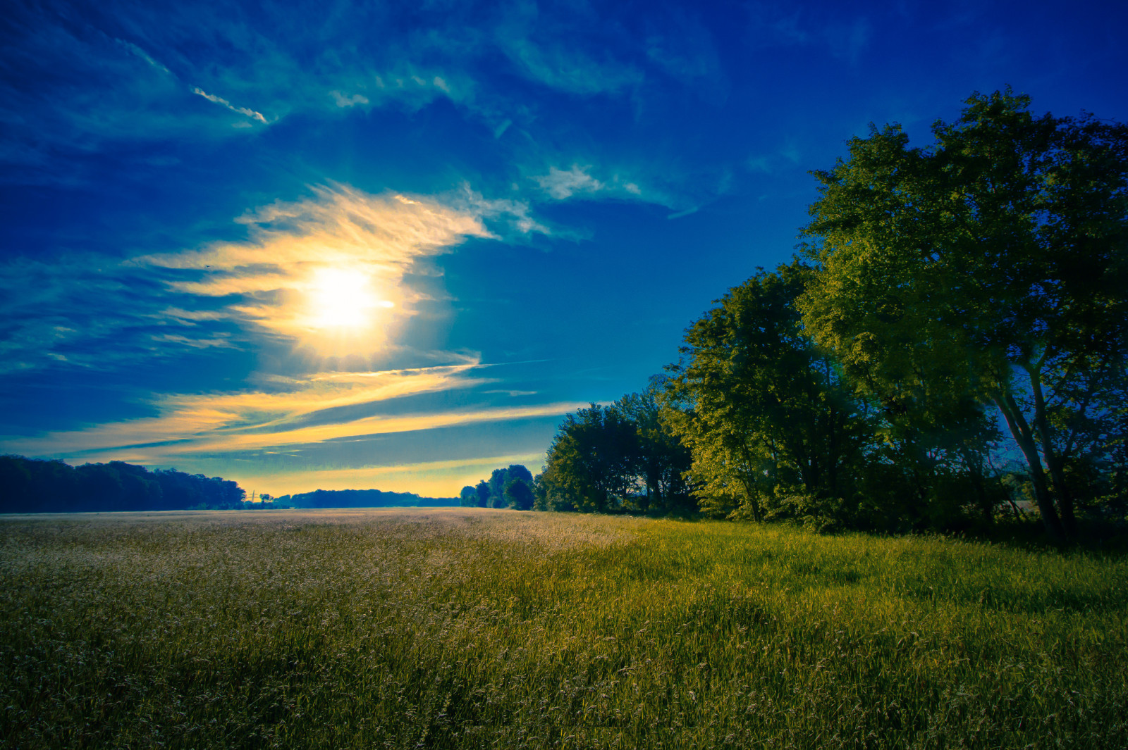 der Himmel, Bäume, Feld, Wolken, Die Sonne