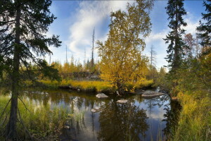 toamnă, Monchegorsk, Arcticul