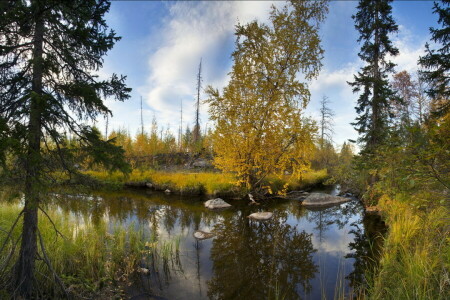 herfst, Monchegorsk, Het noordpoolgebied