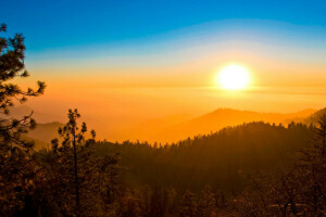 forêt, brume, montagnes, le coucher du soleil, Le ciel, le soleil