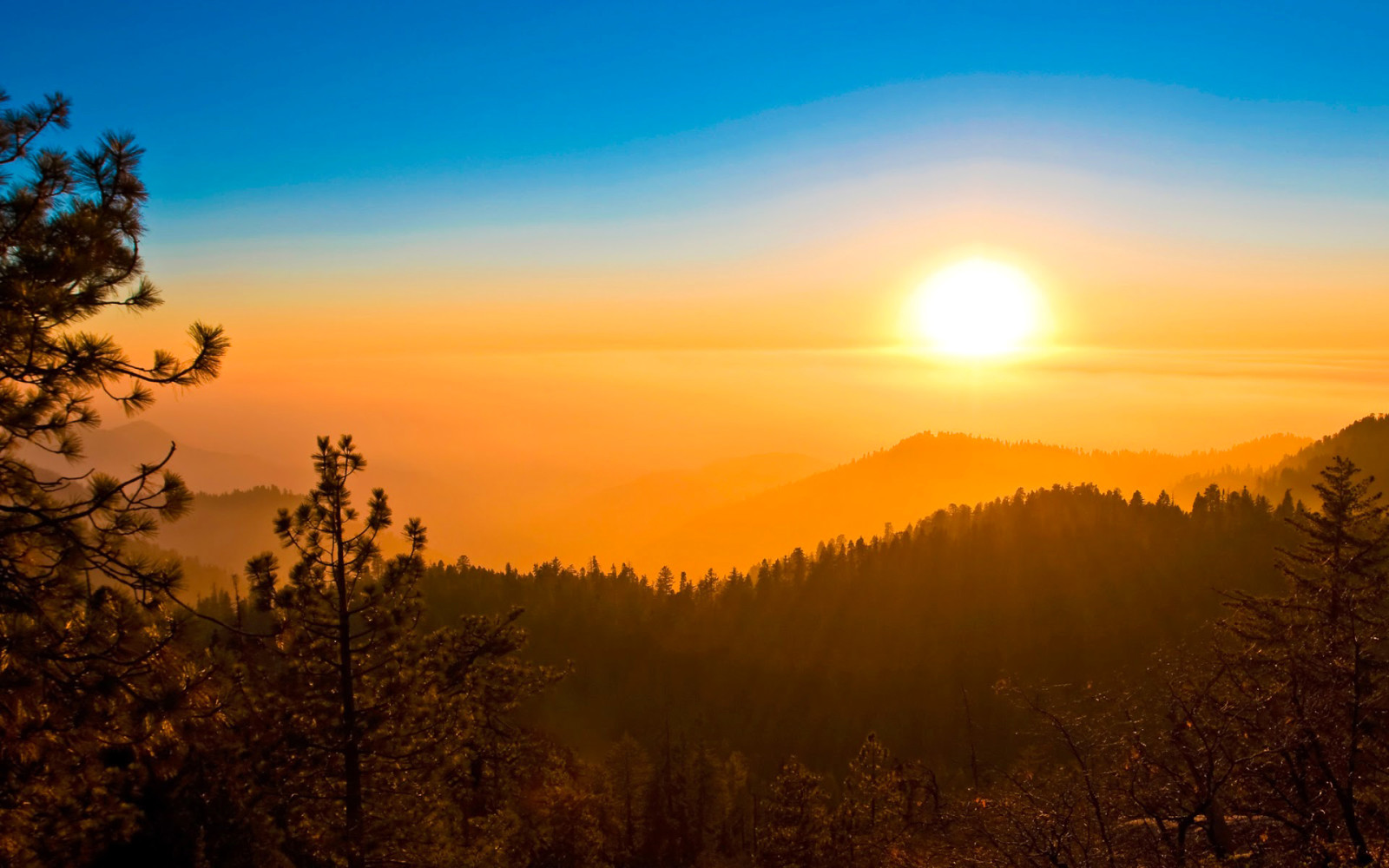 bosque, el cielo, puesta de sol, montañas, el sol, calina