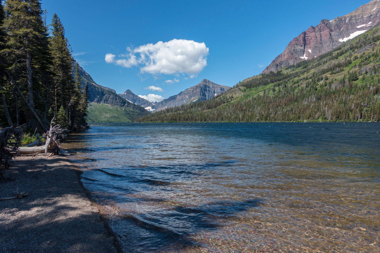 o céu, lago, árvores, montanhas, EUA, Montana, Parque Nacional das Geleiras