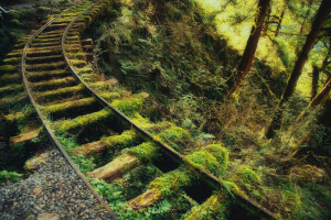 forest, greens, iron, moss, old, rails, road, sleepers