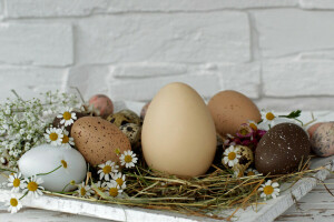 Gänseblümchen, Ostern, Eier, Blumen, Heu, Urlaub, Stand, Mauer