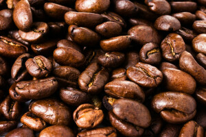 arabica, café, grain, macro, placer, grillage