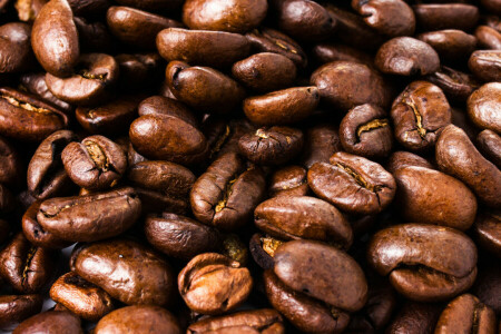 arabica, coffee, grain, macro, placer, roasting