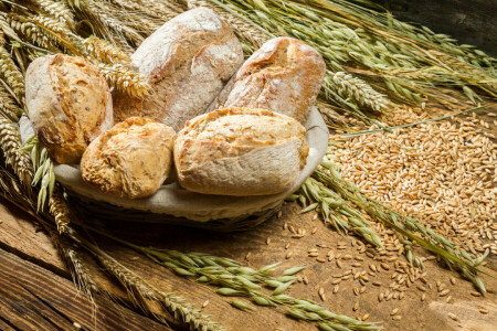 bröd, bullar, kakor, öron, hirs, vete