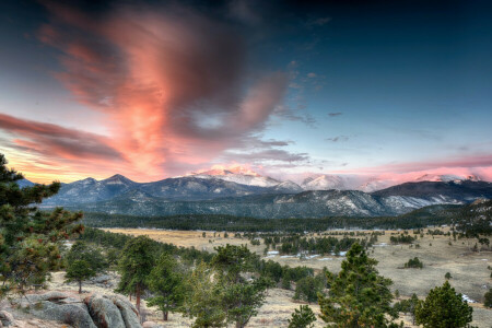 Colorado, les, hory, príroda, Národný park Rocky Mountain, obloha, stromy