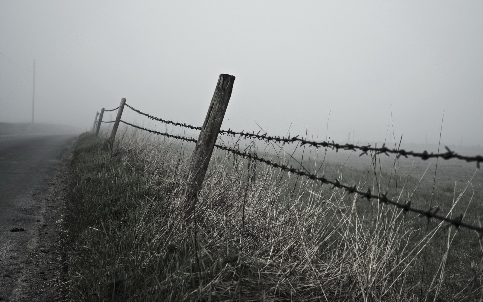 landschap, weg, ochtend-, mist, het hek