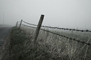 mist, landschap, ochtend-, weg, het hek