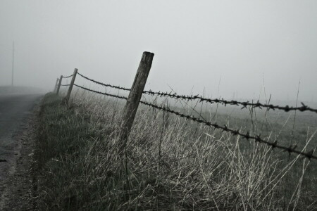 fog, landscape, morning, road, the fence