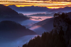 nebbia, montagne, il cielo