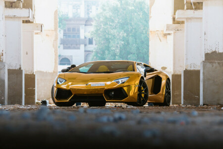 Aventador, золотой, Lamborghini, Родстер