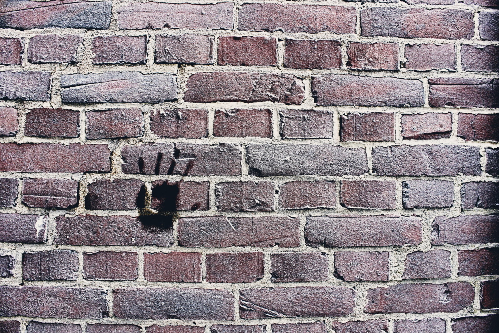 antecedentes, pared, textura