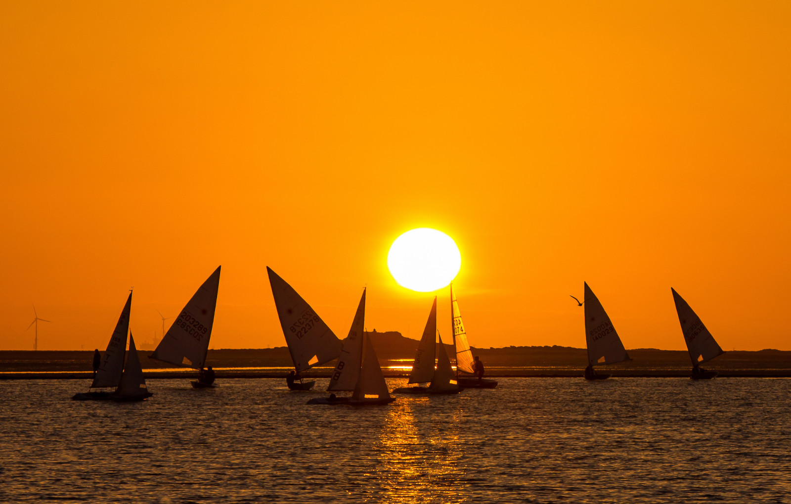 himmelen, innsjø, solnedgang, båt, solen, seile, yacht