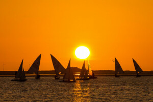 boot, meer, zeil, zonsondergang, de lucht, de zon, jacht