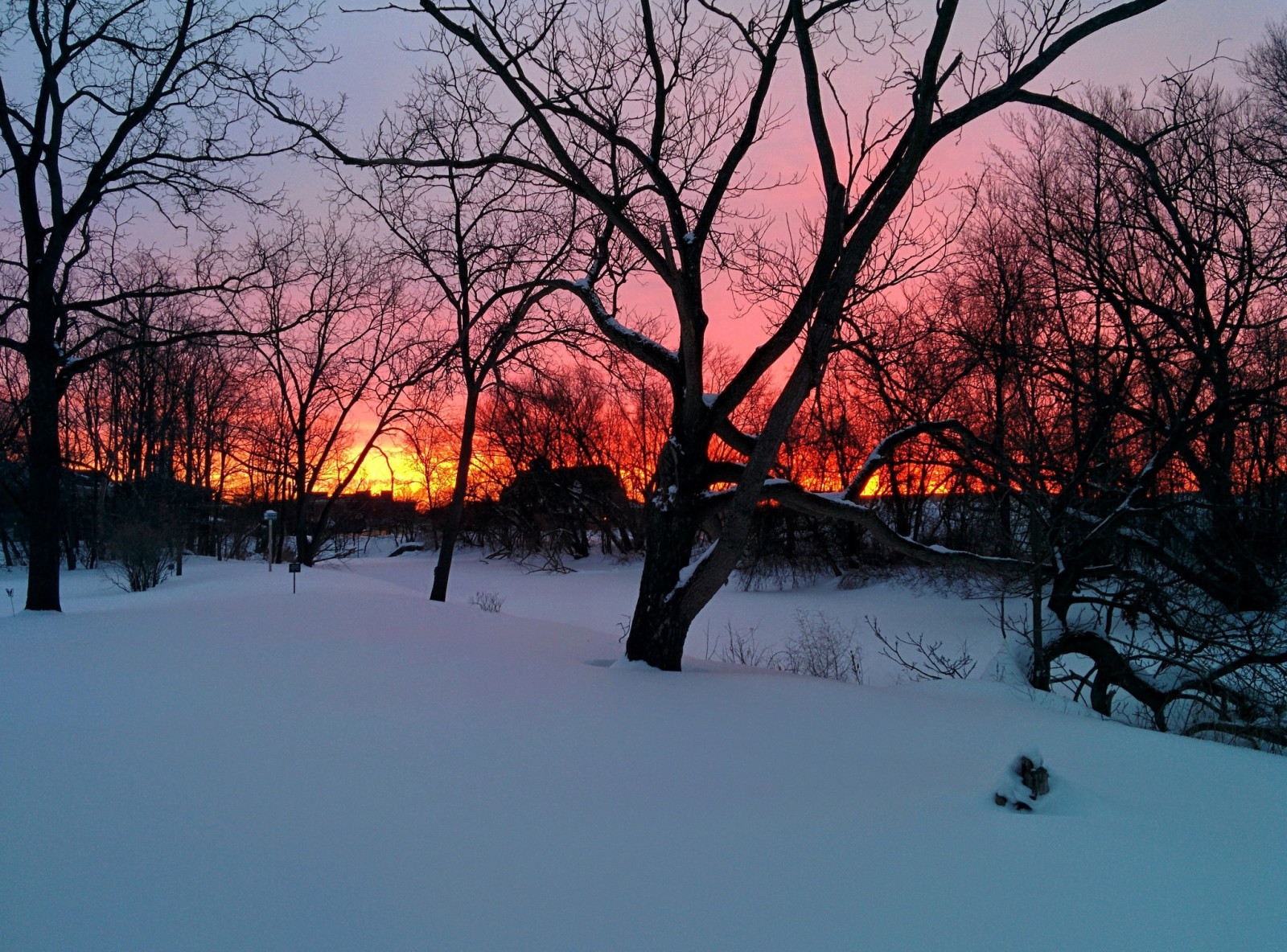 snow, branches, sunset, winter, trees, Houses, orange sky