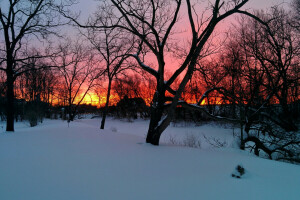 grener, hus, oransje himmel, snø, solnedgang, trær, vinter