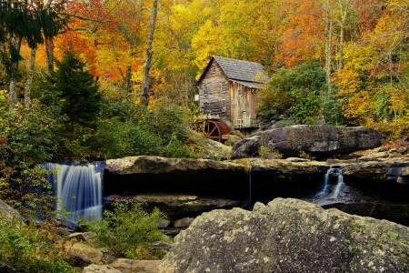 autunno, foresta, mulino, rocce, pietre, alberi