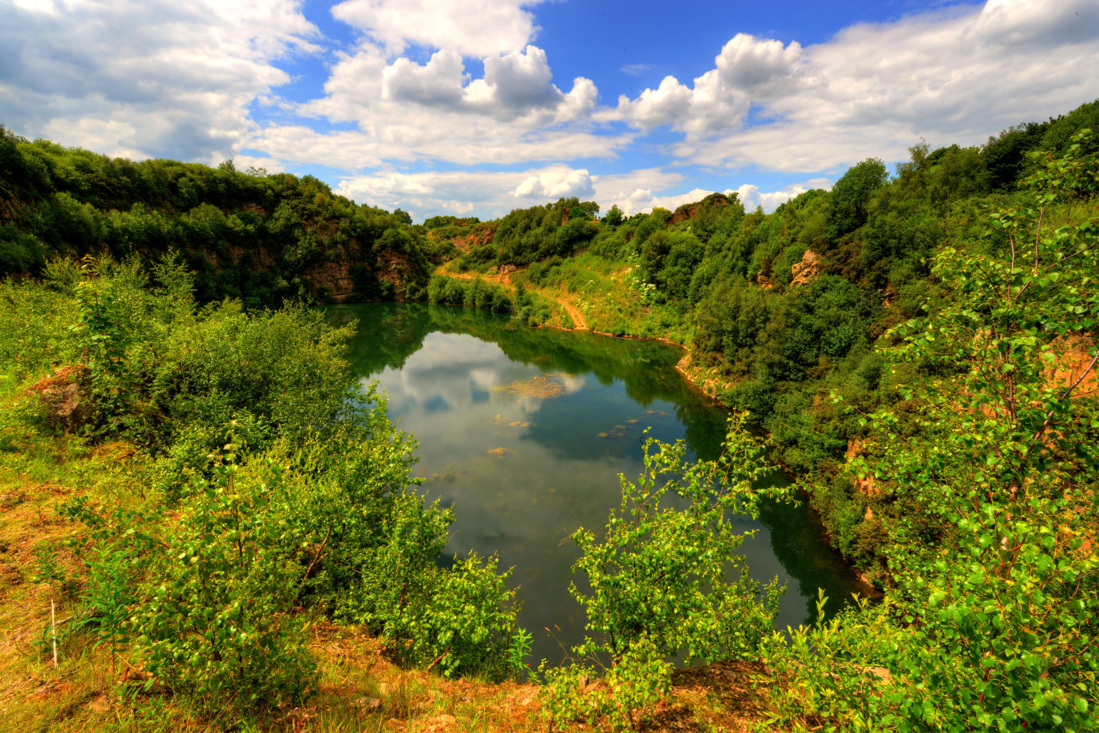 galhos, lago, verduras, nuvens, Inglaterra, Os arbustos, Lancashire