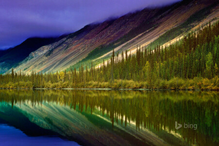 Kanada, erdő, tó, hegyek, Nahanni Nemzeti Park Reserve, visszaverődés, fák