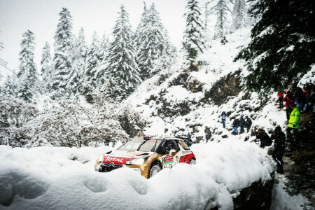 Citroen, DS3, forest, Machine, people, Rally, snow, sport