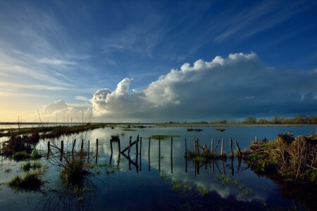 clouds, grass, lake, reflection, wire