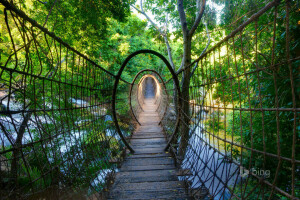 Brug, Verloren stad, Provincie Noordwest, hanger, Zuid-Afrika, Sway bridge