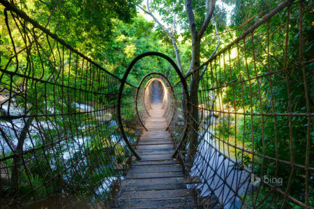 Ponte, Cidade perdida, Província Noroeste, pingente, África do Sul, Ponte de balanço