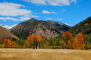 autumn, clouds, mountains, the sky, trees