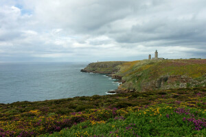 fleurs, Phare, mer, rive