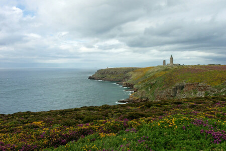 flores, Farol, mar, costa