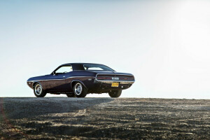 back, Challenger, Dodge, the sky, the sun, wheel