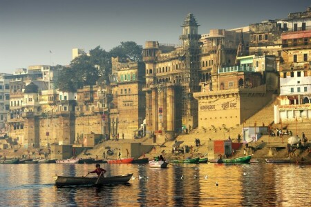 barcos, India, gaviotas, la ciudad