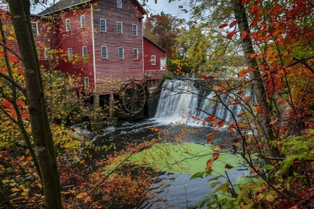 Augusta, l'automne, forêt, rivière, des arbres, Etats-Unis, Moulin à eau, cascade