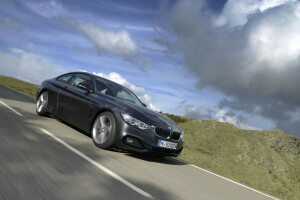 BMW, coupe, nature, road